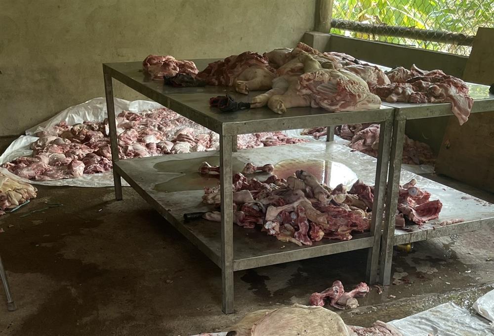 Thu giữ trên 1,7 tấn thịt heo đã biến đổi màu sắc và bốc mùi hôi thối